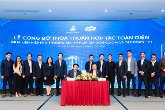 Giải pháp công nghệ mà FPT cung cấp
